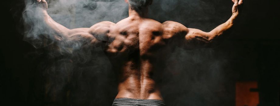 What are the 3 best SARMS suppliers